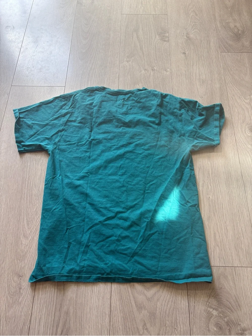 Champion Teal Script Logo T-Shirt - Picture 5 of 5